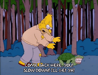 giphy-3-May-18-2022-09-02-36-20-PM